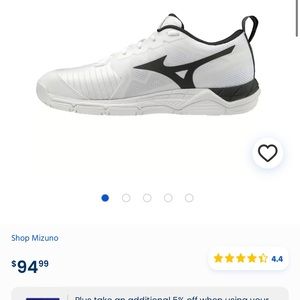Mizuno volleyball shoes 9.5
